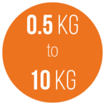 circle orange circle orange